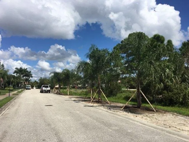 Expert landscape installation for beautiful yards across Port Charlotte, FL - Landtech Industries