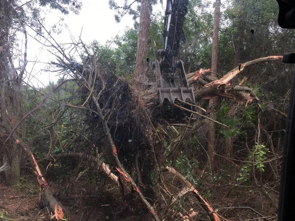 Custom garden landscaping in Port Charlotte, FL - Landtech Industries