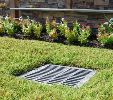 Local lawn care service for beautiful yards across Escondido, CA - Landtech Scenery