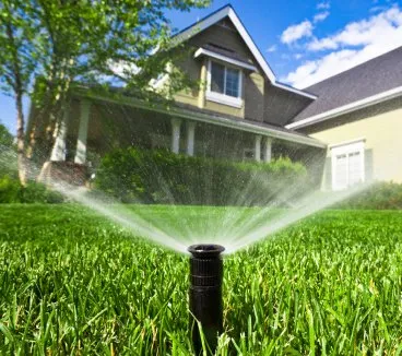 Affordable yard maintenance for outdoor upgrades in Escondido, CA by Landtech Scenery