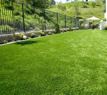 Local yard cleanup service in Escondido, CA - Landtech Scenery