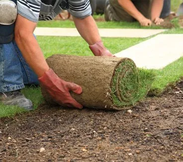 Trusted yard cleanup service in Escondido, CA - Landtech Scenery