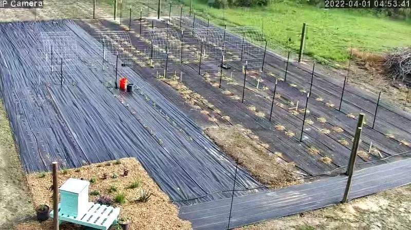 Reliable landscape installation experts serving Climax, GA - Landtech Services