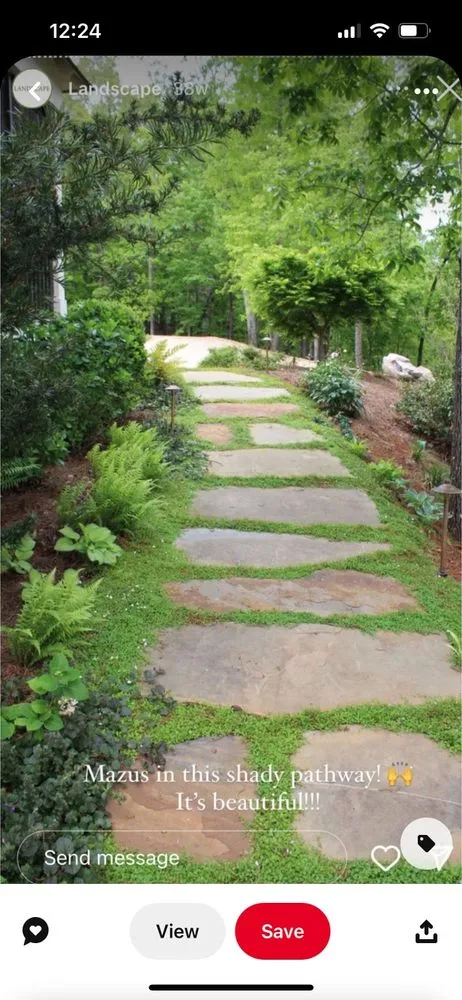 Local landscape design in Piedmont, SC - Landtek Services Company