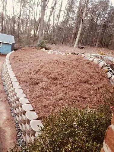 Top-rated yard maintenance in Piedmont, SC by Landtek Services Company