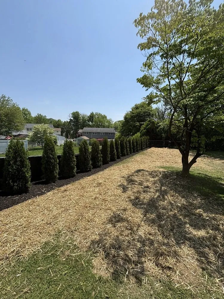 Local lawn mowing service in Bath, PA by LandView Services