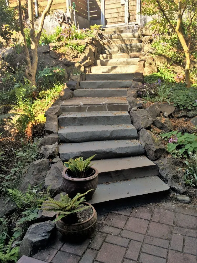 Reliable yard cleanup service in Lake Stevens, WA - Landvision