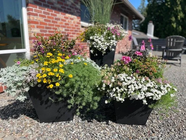 Expert landscape design experts serving Lake Stevens, WA - Landvision