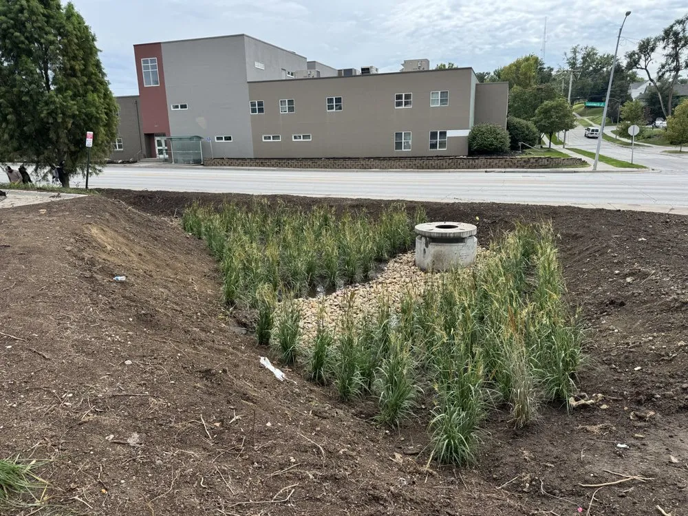 Local yard cleanup service for outdoor upgrades across Omaha, NE - Landwerks Enterprises