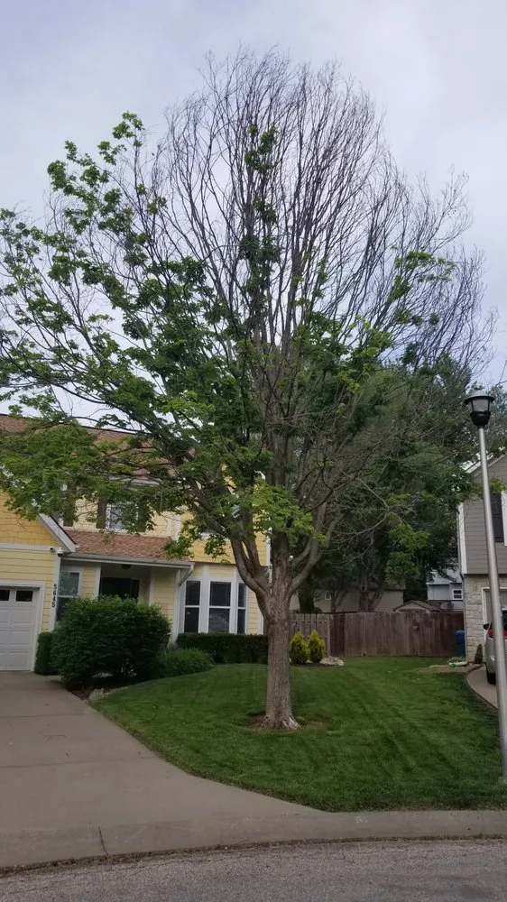 Custom yard maintenance in Kansas City, KS - Landworks