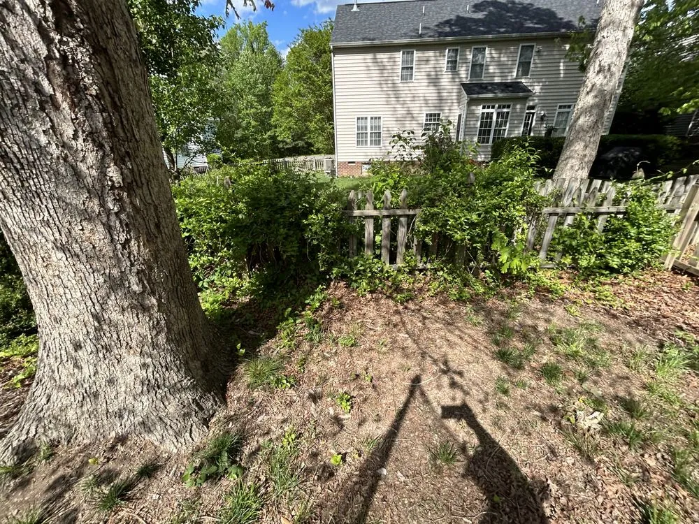 Affordable yard cleanup service in Ashland, VA by Landworks Landscaping