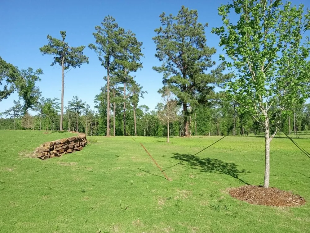 Top-rated lawn care service in Nacogdoches, TX by Landworks