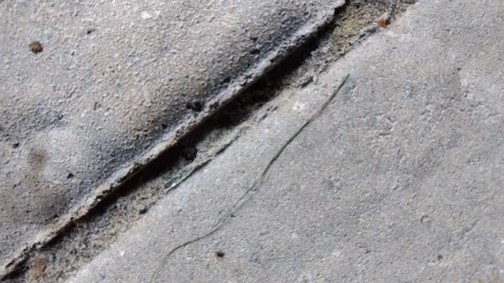 Professional landscape installation for beautiful yards across Goshen, NY - LandWorx Of New York Inc