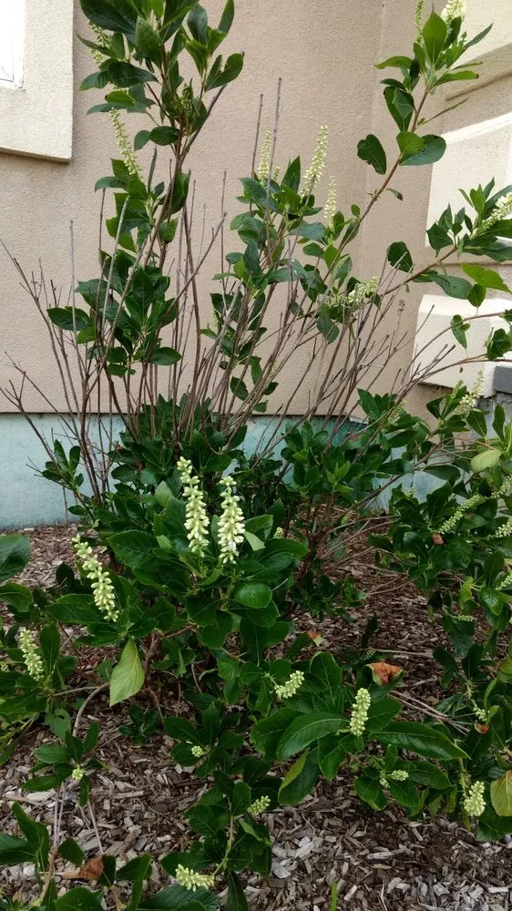 Professional residential landscaping in Goshen, NY - LandWorx Of New York Inc