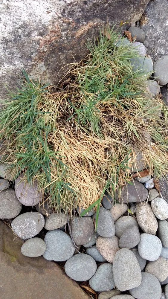 Top-rated landscape design for homes across Goshen, NY - LandWorx Of New York Inc