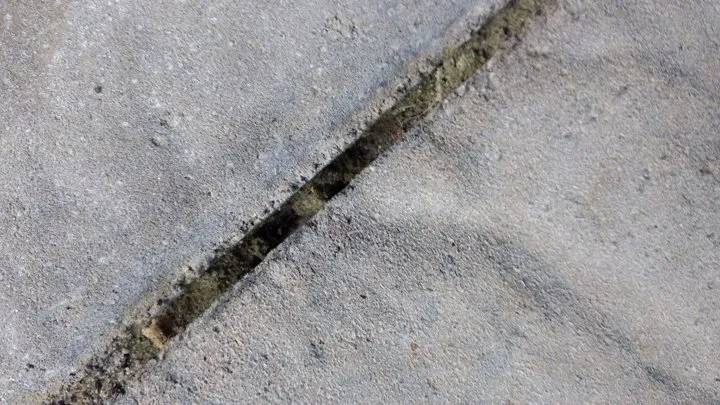 Trusted yard maintenance for year-round maintenance across Goshen, NY - LandWorx Of New York Inc