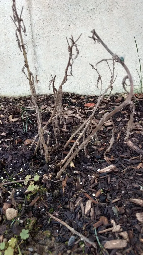 Expert lawn mowing service near you in Goshen, NY by LandWorx Of New York Inc