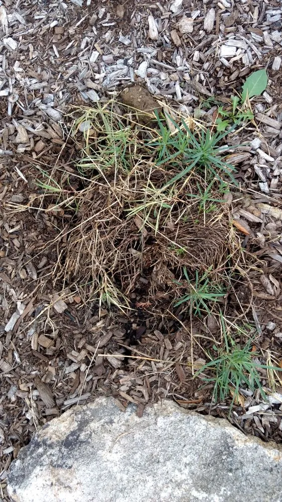 Trusted lawn mowing service with custom design across Goshen, NY - LandWorx Of New York Inc