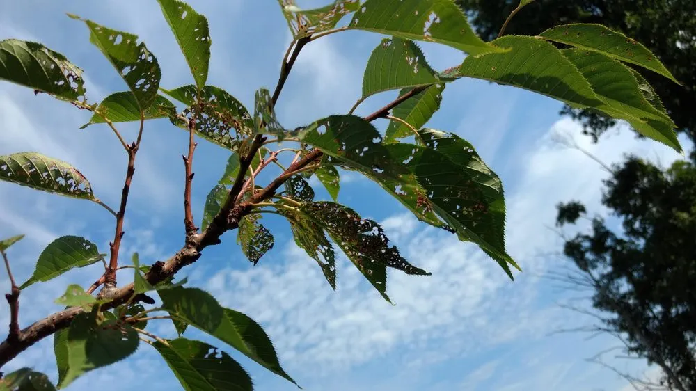 Trusted outdoor landscaping experts serving Goshen, NY - LandWorx Of New York Inc