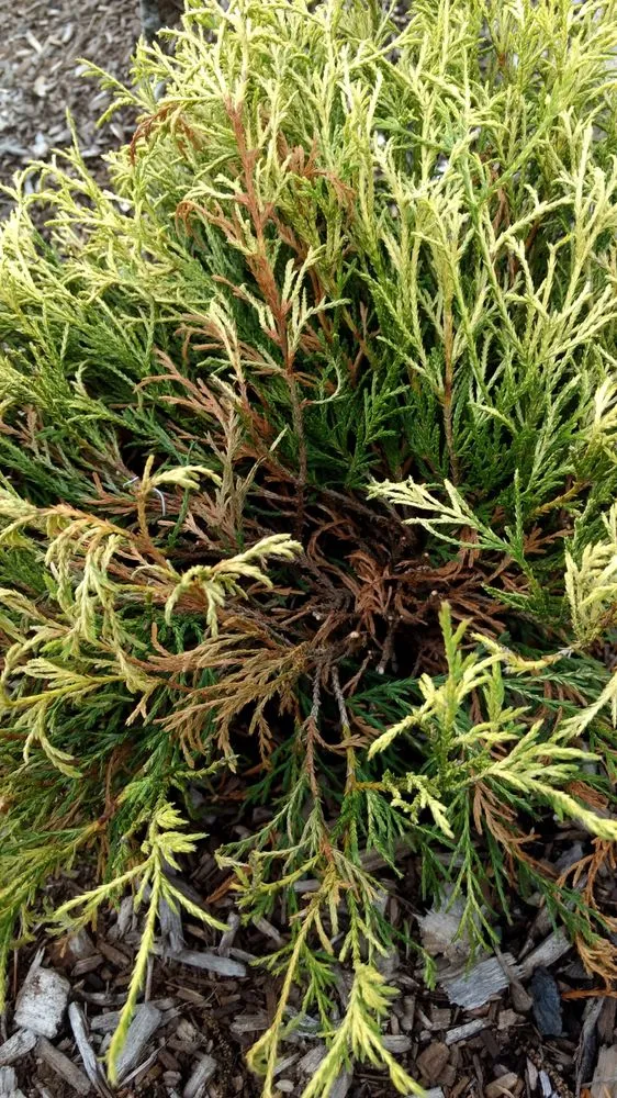 Custom garden landscaping experts serving Goshen, NY - LandWorx Of New York Inc