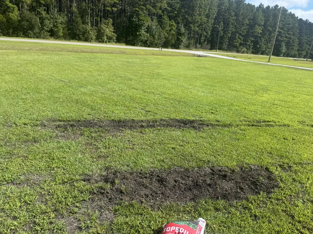 Expert landscaping services experts serving Aynor, SC - Landworx of the Carolina’s