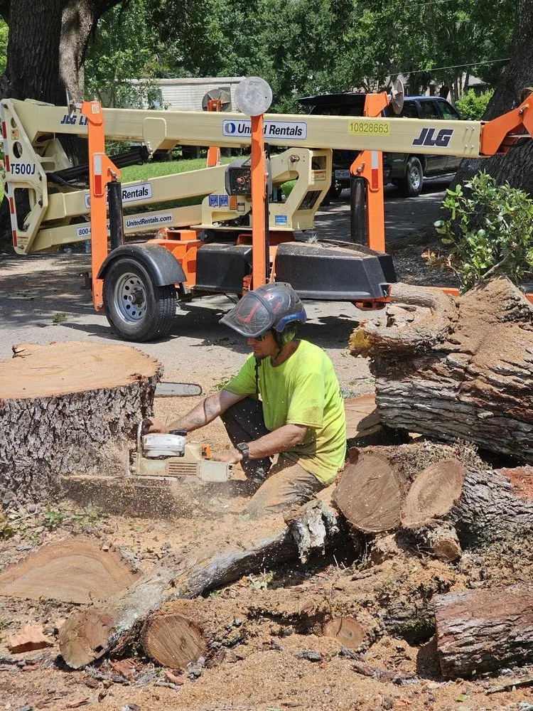 Affordable yard maintenance experts serving Angleton, TX - Landyn Tree's