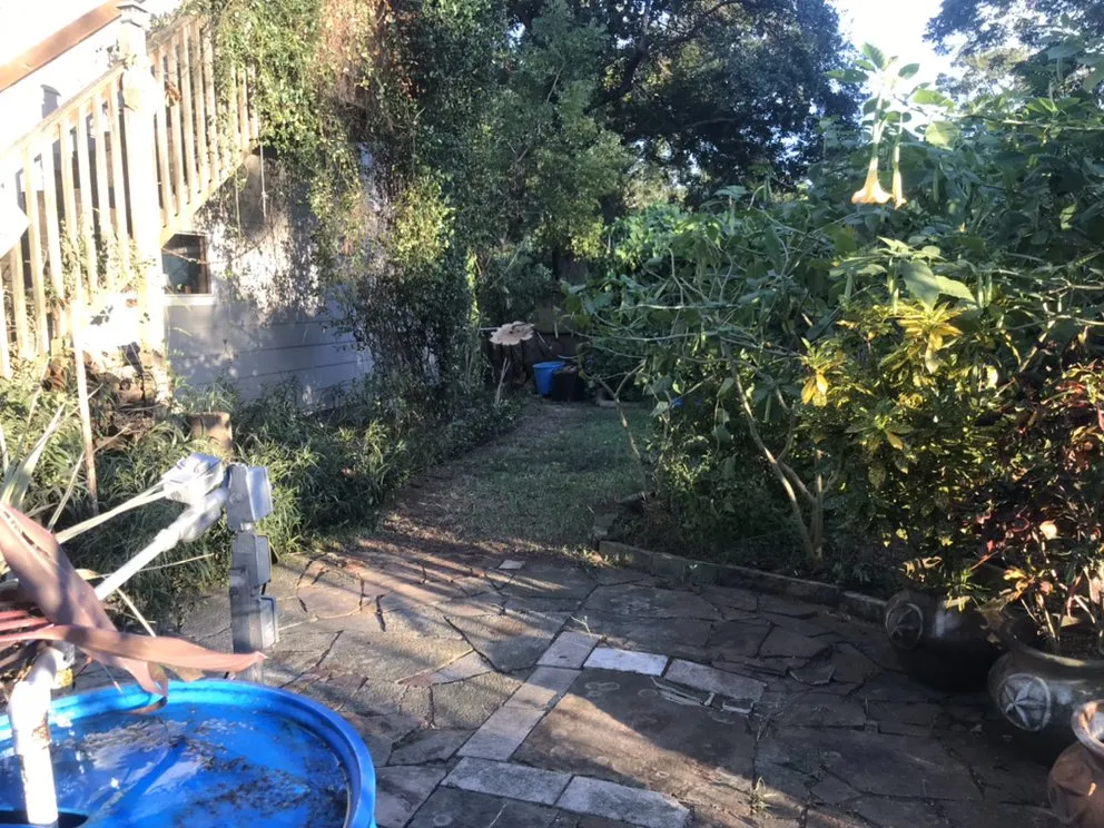 Local landscaping services for beautiful yards across Angleton, TX - Landyn Tree's