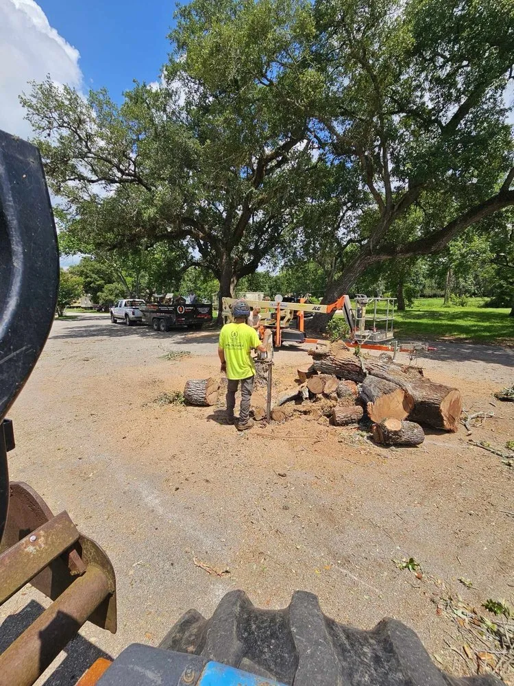 Custom lawn mowing service in Angleton, TX by Landyn Tree's