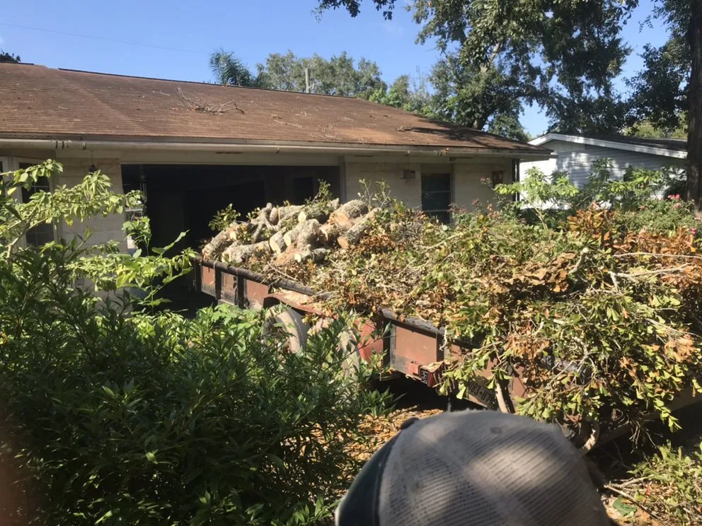 Top-rated lawn care service for beautiful yards in Angleton, TX by Landyn Tree's