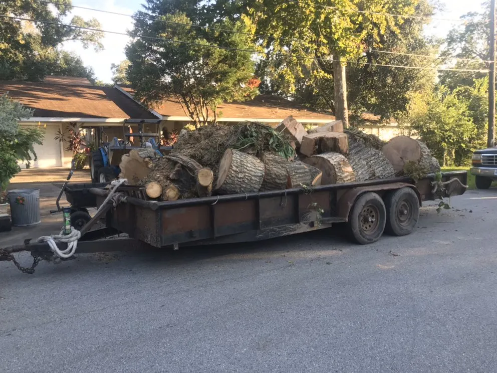 Custom yard maintenance near you across Angleton, TX - Landyn Tree's
