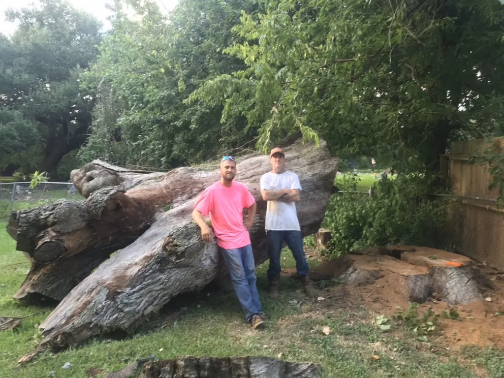 Custom yard maintenance experts serving Angleton, TX - Landyn Tree's