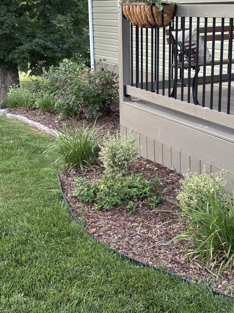Top-rated yard cleanup service in Kingsport, TN - Lane & Porter Landscapes