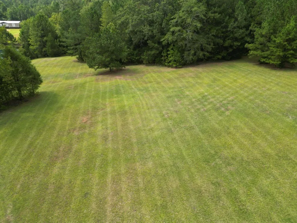 Professional yard maintenance near you in Salem, AL by Lane Bros Property & Land Maintenance