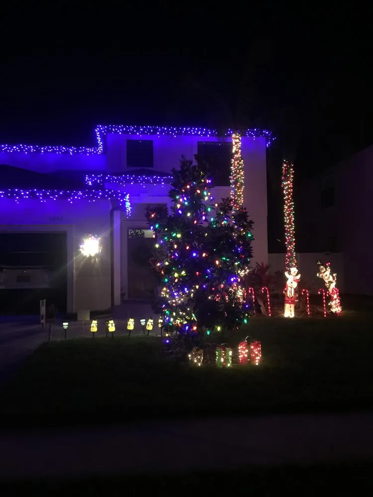 Reliable lawn care service near you in Tampa, FL by Lane Christmas Lights