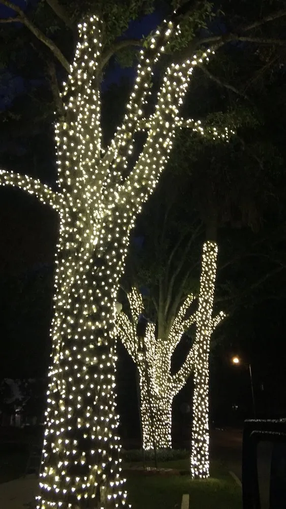 Trusted landscaping services in Tampa, FL - Lane Christmas Lights
