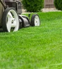 Reliable yard cleanup service in Millsap, TX - Lane King Lawn Care and Landscaping