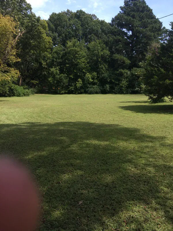 Local yard maintenance near you in Lonoke, AR by Lanehart Enterprises