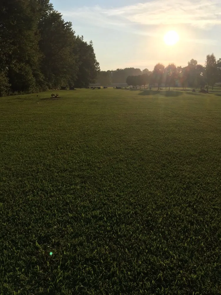 Custom yard cleanup service in Lonoke, AR by Lanehart Enterprises