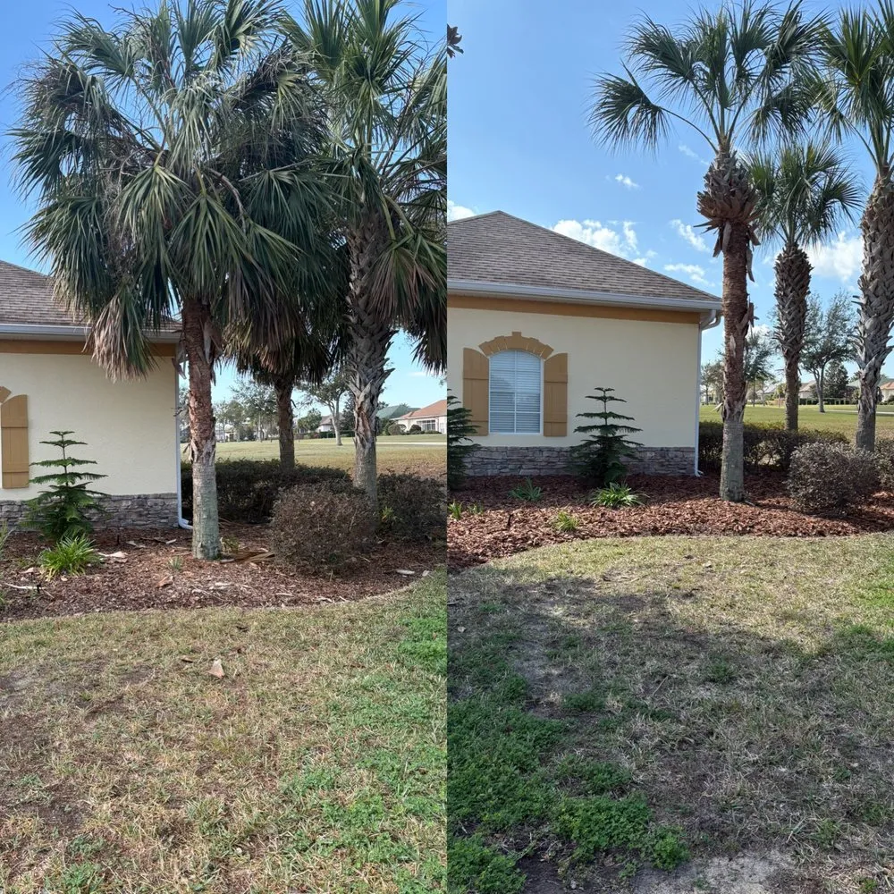 Top-rated residential landscaping with custom design across Christmas, FL - Lane’s Landscaping