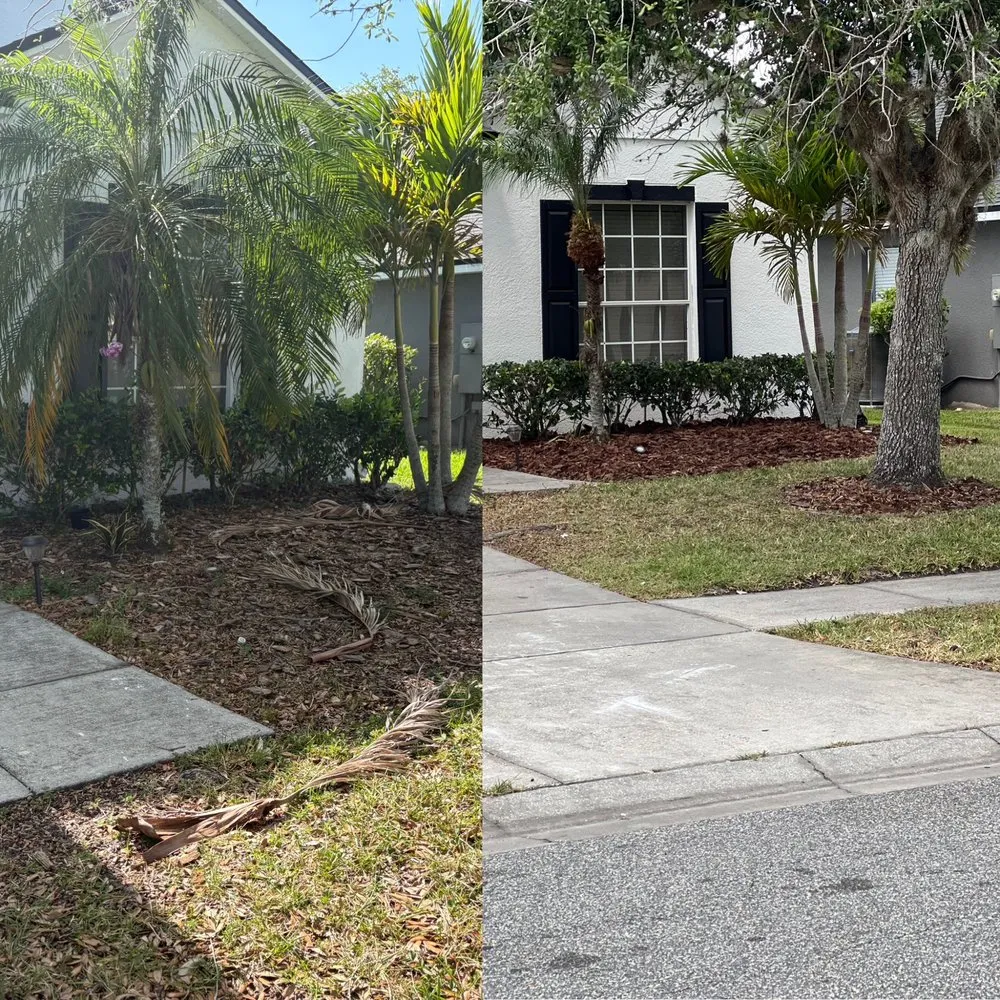 Trusted yard maintenance experts serving Christmas, FL - Lane’s Landscaping