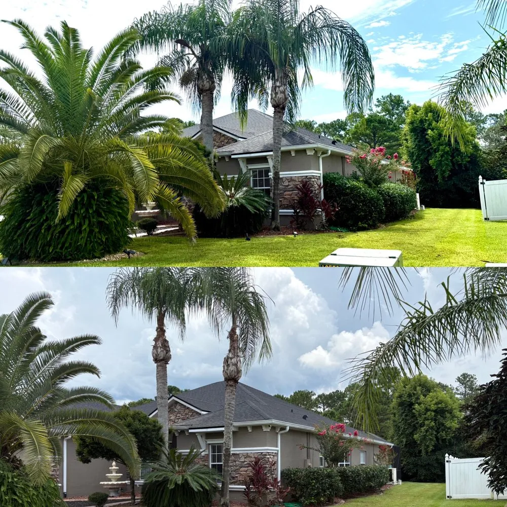Affordable landscaping services for beautiful yards across Christmas, FL - Lane’s Landscaping