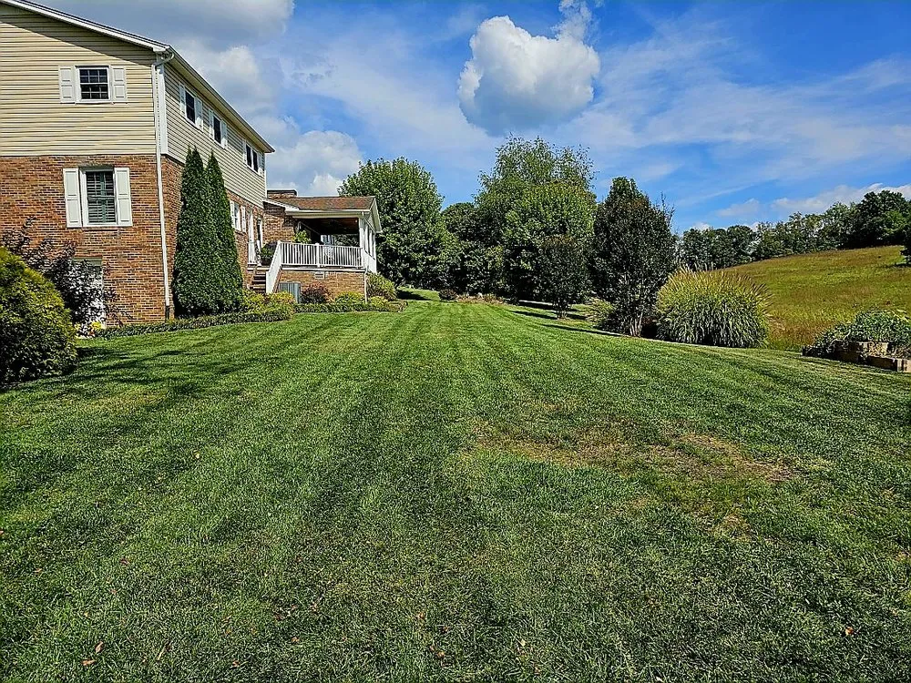 Reliable yard cleanup service in Bristol, TN - Lanes Lawn Care
