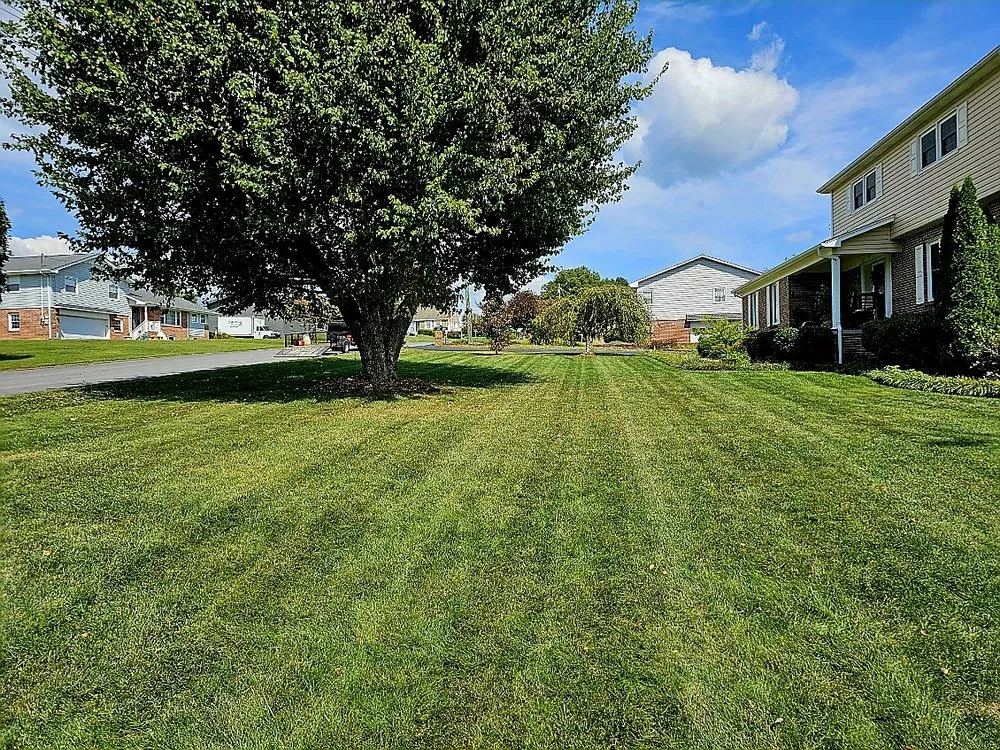 Trusted yard cleanup service in Bristol, TN by Lanes Lawn Care