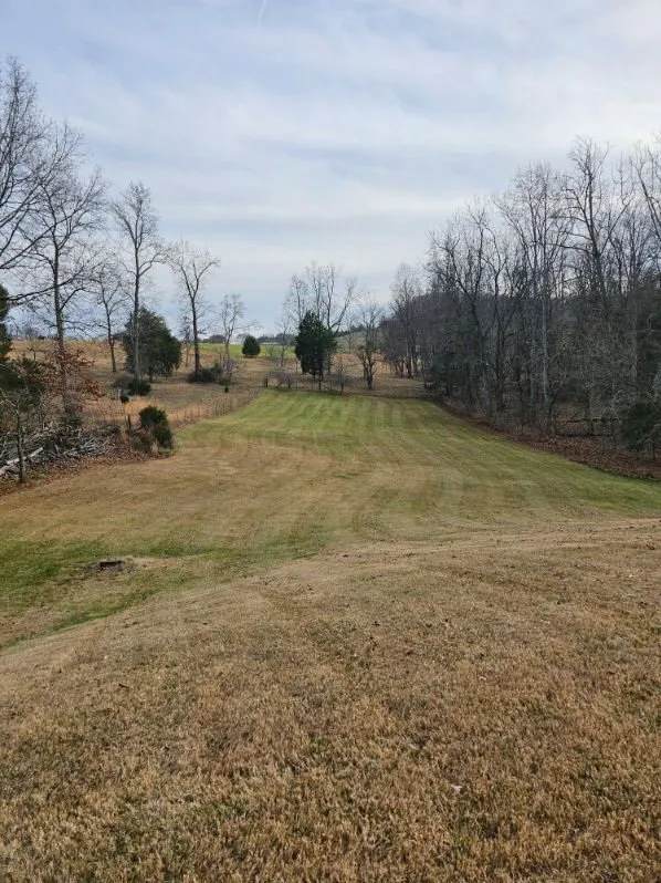 Affordable yard cleanup service experts serving Bristol, TN - Lanes Lawn Care