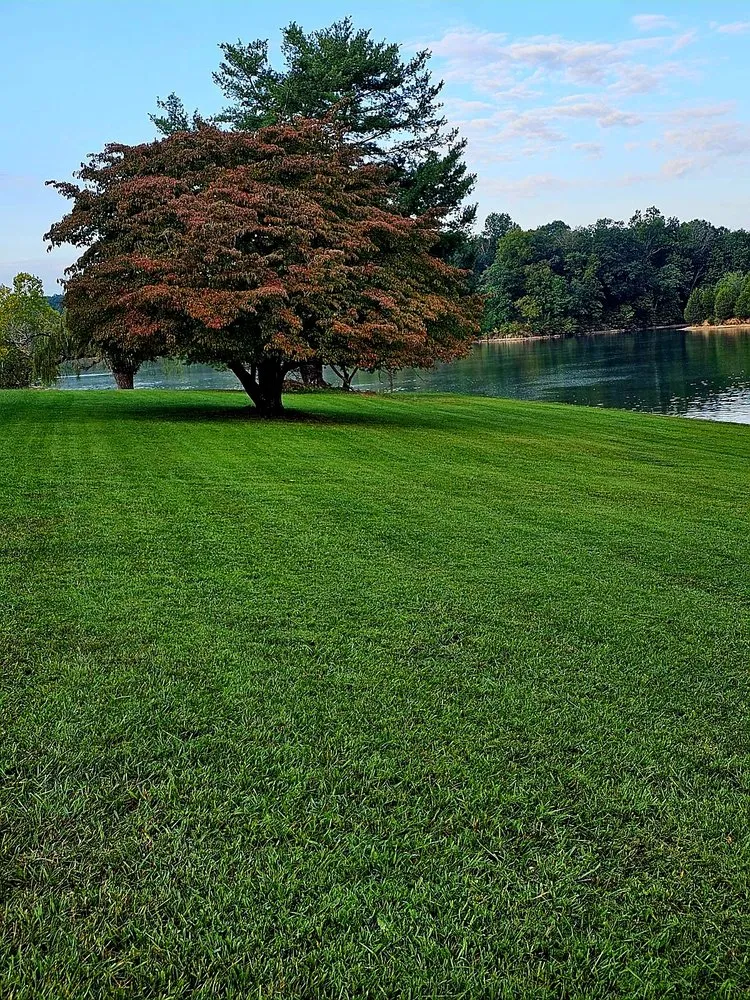 Affordable outdoor landscaping near you in Bristol, TN by Lanes Lawn Care