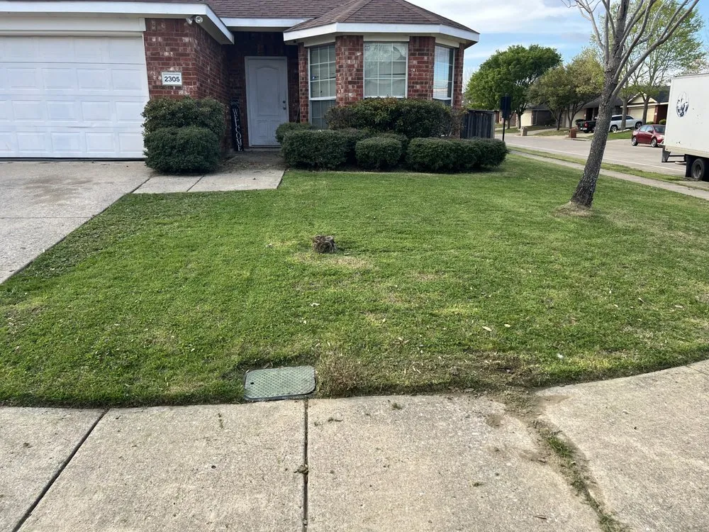 Affordable lawn mowing service in Mesquite, TX - Lane’s Lawn Care Service
