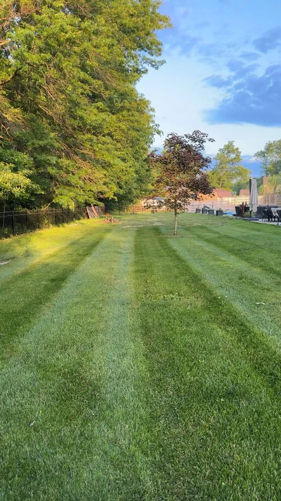 Professional lawn care service in Sardinia, OH - Lanes Lawncare