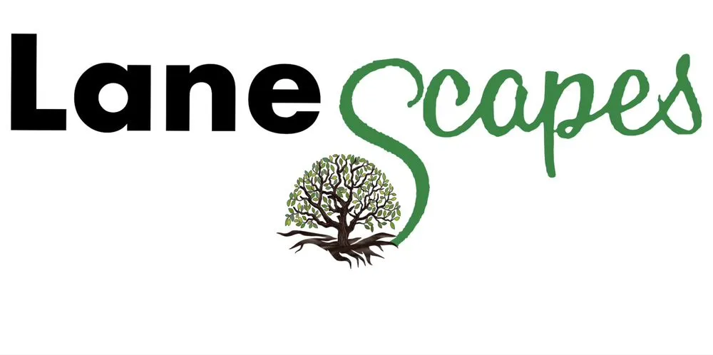 Expert landscape design near you in Gainesville, GA by Lanescapes