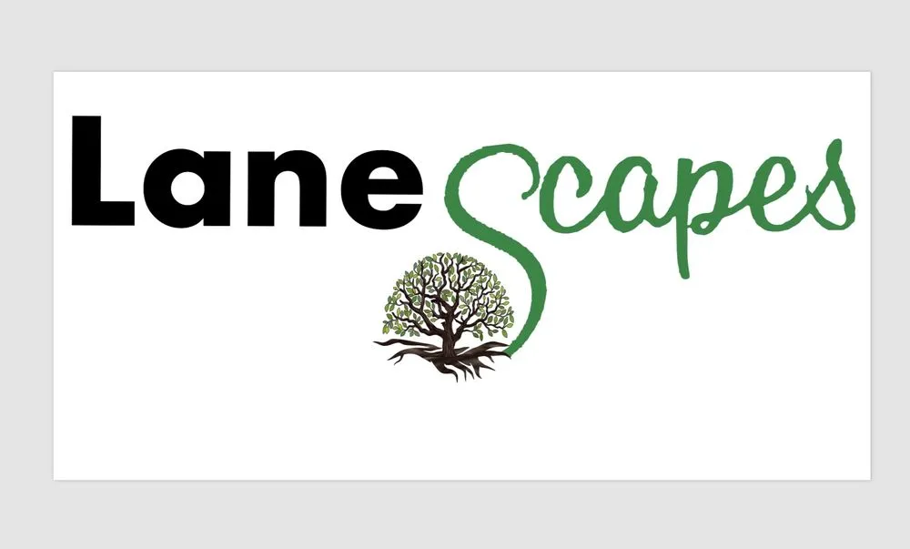 Professional yard maintenance for outdoor upgrades in Gainesville, GA by Lanescapes