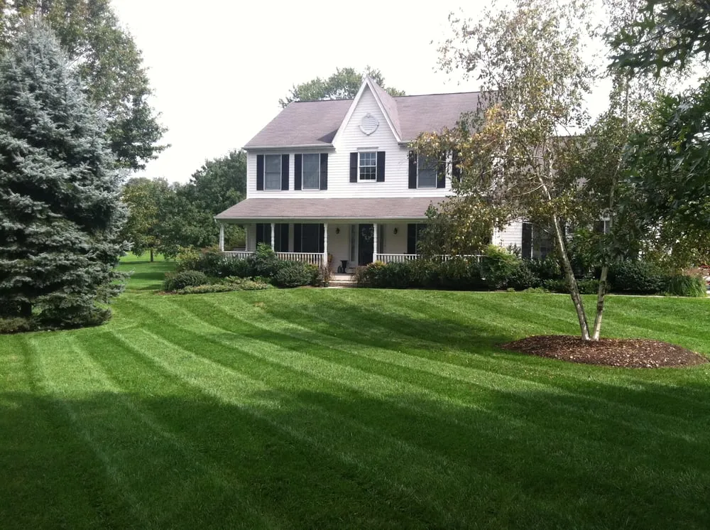 Custom yard cleanup service in Sykesville, MD - LaneScapes Lawn Care